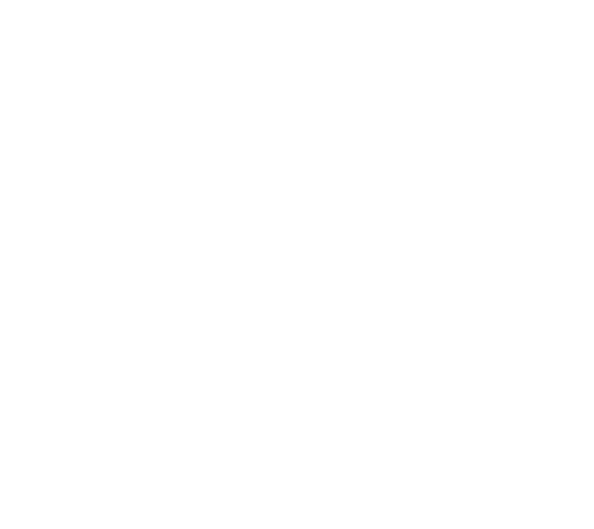 Camel Icon